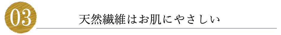 VRfށi@ہj͂ɂ₳H