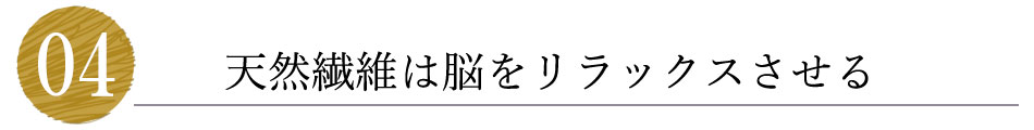 VRfށi@ہj͔]bNX