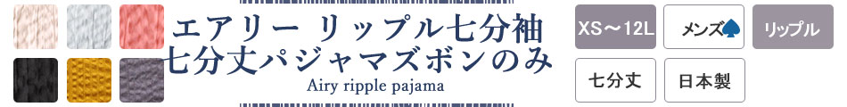 Ă̂炩GA[bvpW}Y{Pi