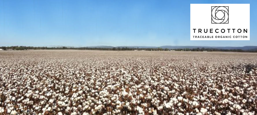 TRUECOTTON