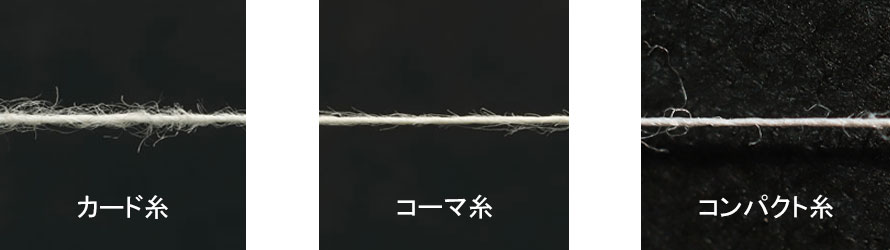 RpNg