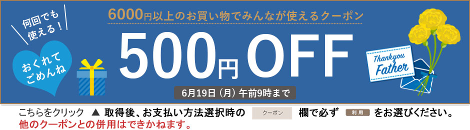 500円クーポン
