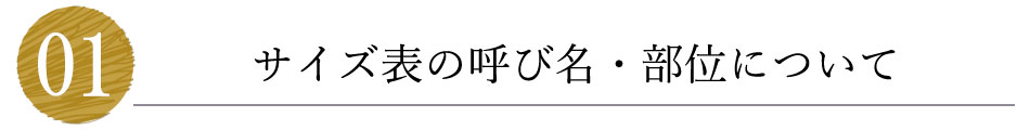 TCY\̌ĂіEʂɂ
