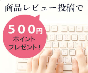 レビュー